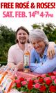 Free Roses & Roses