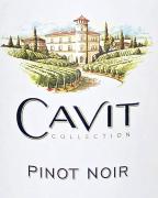 Cavit - Pinot Noir 1.5 0