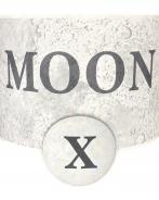 MoonX - Pinot Noir 0