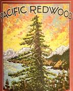 Pacific Redwood - Organic Pinot Noir 0